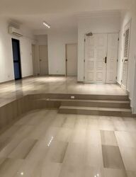 Tanglin Park (D10), Condominium #564026831